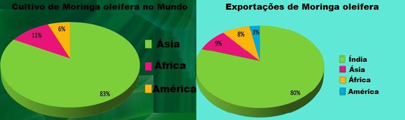 21 mostram o domínio da Ásia, especialmente da índia, na produção de moringa. (Exceto Índia) Figura 3.21 Cultivo e exportações de moringa oleifera no mundo (Prunderground,2015).