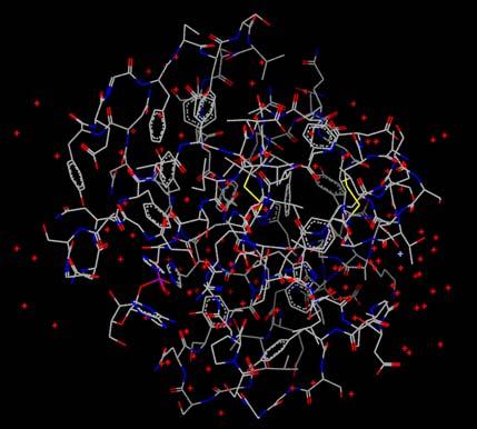 Proteínas Proteínas solúveis (globulares): forma aproximadamente esférica. Estrutura tridimensional função biológica.