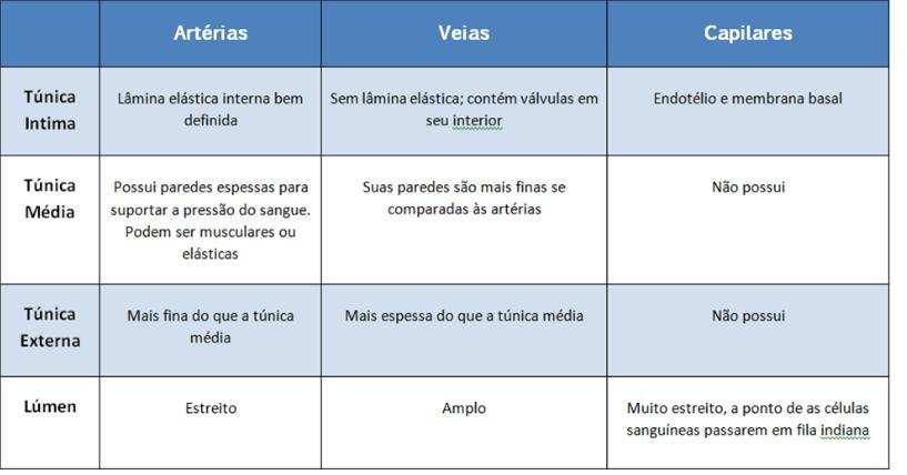 Ao contrário do resto dos músculos estriados do corpo, pertencentes ao aparelho locomotor, a atividade do tecido miocárdico não é controlada pela vontade, pois os estímulos eléctricos responsáveis