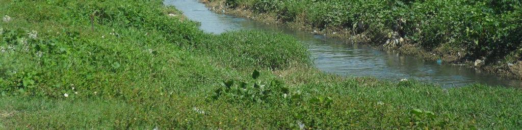 As medidas de índice de vegetação têm, na maioria das vezes, ligação direta com o valor de biomassa, área foliar, cobertura do solo e rendimento agrícola (ANTUNES et al., 1993).