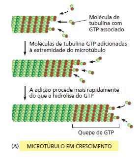 Estrutura: