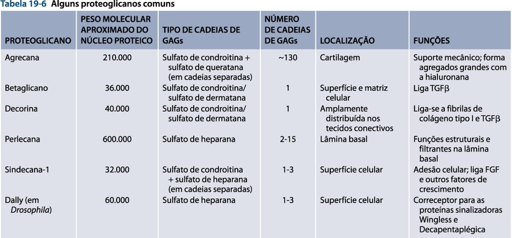 Matriz Extracelular Proteoglicanos De modo geral os