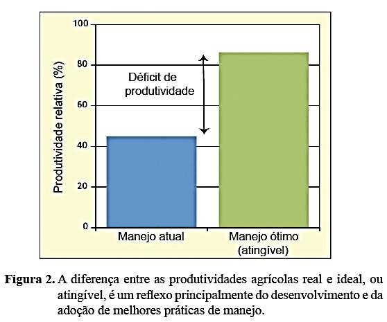 Práticas de manejo do solo