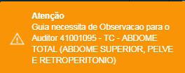 Alguns exames necessitam que o campo Observação para o auditor seja preenchido. Nesse caso, será exibida a seguinte mensagem de alerta: Após preencher as observações para o auditor, clique em Enviar.