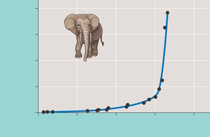 População de elefantes