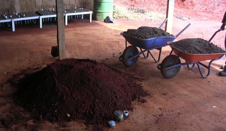 TIPO 3: ESPÉCIES NATIVAS DE VEREDAS E LOCAIS BREJOSOS Quatro carrinhos de mão cheios ( 210 litros) de latossolo vermelho.