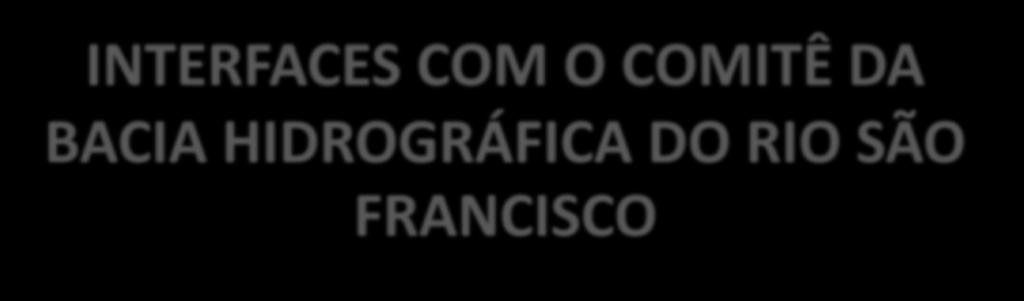 INTERFACES COM O COMITÊ DA BACIA HIDROGRÁFICA DO RIO SÃO FRANCISCO DIVULGAÇÃO DO PLANO AUMENTAR O NUMERO DE PARCERIAS AUMENTAR A
