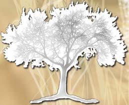 A Torah É a árvore da vida para aqueles que se apegam a ela.