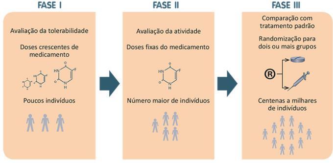 Fase Clínica: Workflow produção de Fármacos Indivíduo saudável (20 a 110 indivíduos) Indivíduo doente (100