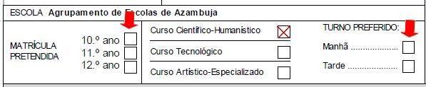 4. Preenchimento do Anexo à Ficha de Atualização de Dados, 4.1. O aluno e o encarregado de educação devem conferir os dados que já se encontram registados e proceder às necessárias alterações. 4.2.