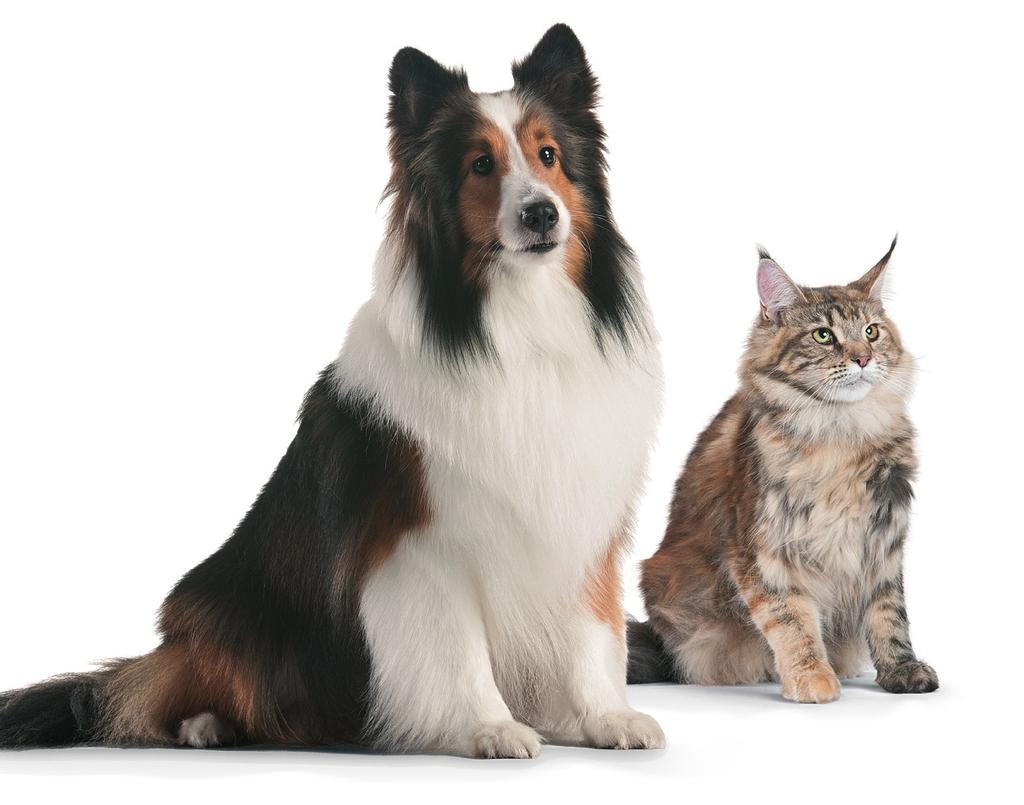 Linha de Suplementos Nutricionais Funcionais da Vallée Produto Indicação Dosagem Cães (menos de 10 kg) e gatos 2 ml -