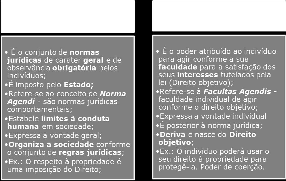 Mas há outra corrente que entende que essa faculdade de agir não é o Direito subjetivo em si, mas está contido nele, pois a faculdade de agir seria algo inerente ao ser humano e, portanto, estaria