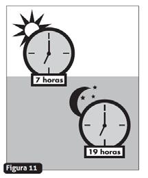 9. A amoxicilina tri-hidratada + clavulanato de potássio deve ser tomada em esquema de duas vezes ao dia. Uma sugestão é tomá-lo às 7 da manhã e às 19 horas da noite.