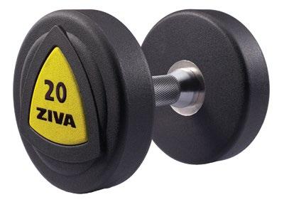 25Kg (cinza) + 2 anilhas 2.