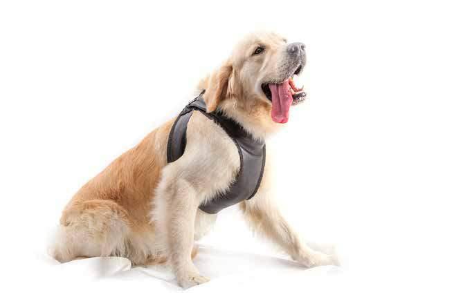 Peitoral Polister Confort X 25-35 cm 35-45 cm 45-60 cm 55-80 cm Peitoral para cão Exterior em poliester impermeável Interior flanela Peitoral Napa