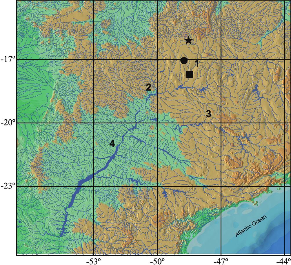 68 A new genus and three new species of Hypoptopomatinae Fig. 3.