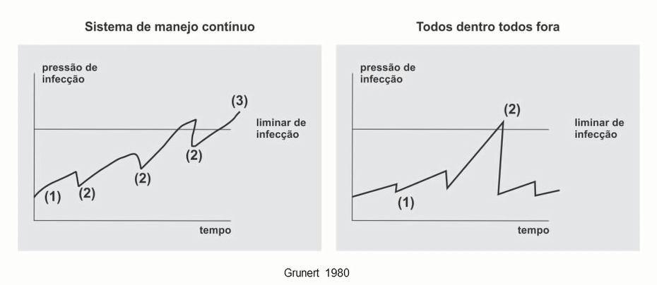 Pressão de infecção: