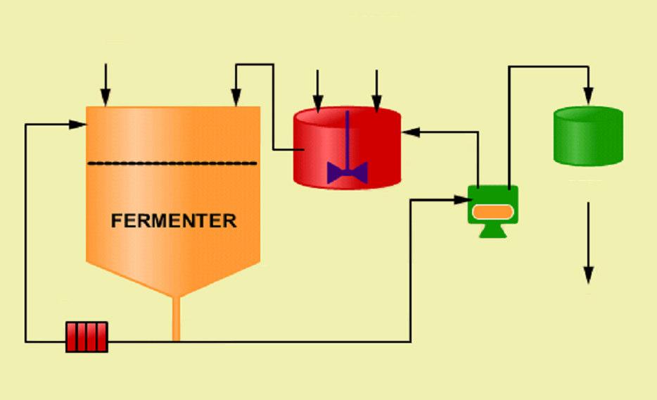 Fermentação em Batelada ( MELLE BOINOT ) MUST YEAST WATER ACID TANK