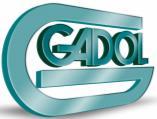 G Gadol Gadol Assessoria de
