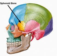 Cranio (ósseo) Trauma Doença inflamatória (osteomielite) Tumores