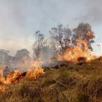 Militar (PM) para combater o incêndio que foi controlado no final do dia de domingo