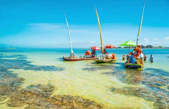 MACÉIO Maceió, capital de Alagoas, é banhada por lagoas, um mar que mescla o azul-turquesa e o verde-esmeralda e belas praias ornadas por jardins de coqueirais.