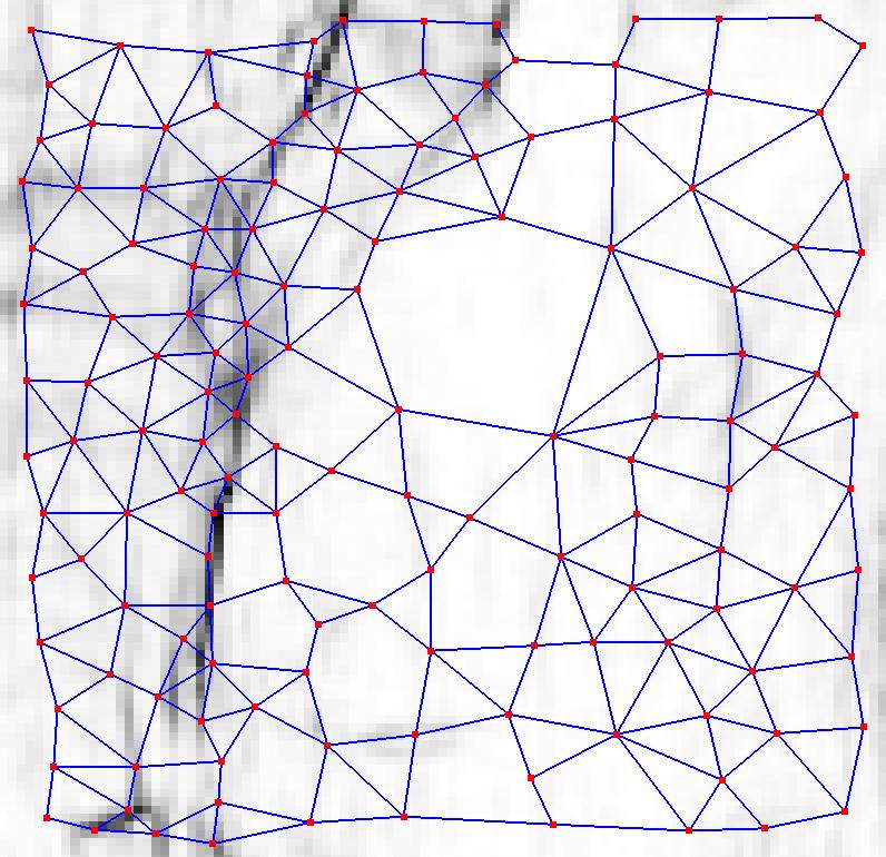 Construção do grafo de falhas utilizando Growing Neural Gas 101 Figura 4-16: Fatia de tempo de atributo de falha em tons de cinza, sobreposto por grafo gerado por GNG.