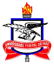 UNIVERSIDADE FEDERAL DO PARÁ INSTITUTO DE GEOCIÊNCIAS PROGRAMA DE PÓS-GRADUAÇÃO EM GEOFÍSICA DISSERTAÇÃO DE