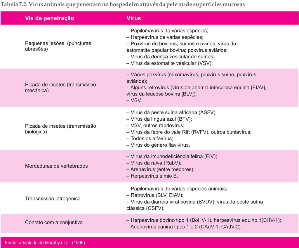 198 Capítulo 7 Alguns vírus penetram no organismo pela mucosa conjuntival e podem estar associados com conjuntivite ou, até mesmo, com infecções sistêmicas.