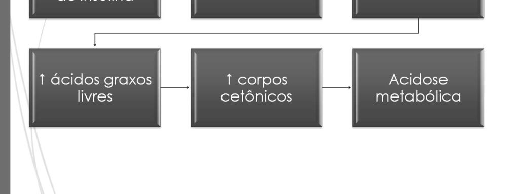 Na cetoacidose diabética, a gliconeogênese no fígado prossegue sem qualquer regulação pela insulina. O nível de glicemia aumenta a osmolalidade que, quando grave, pode resultar em coma diabético.