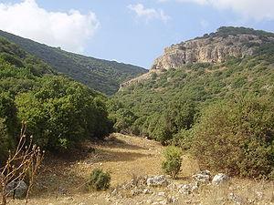 Monte Carmelo - Significa "jardim" ou "campo fértil".