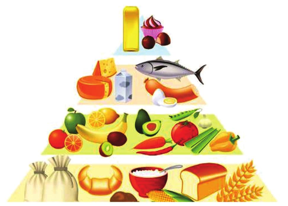 ITEM 5 A pirâmide alimentar é um tipo de gráfico que organiza os alimentos de acordo com suas funções e seus nutrientes.
