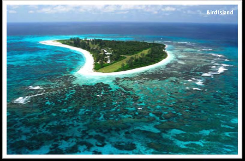 OUTRA ILHAS Existem ilhas menores e mais remotas que oferecem acomodação, como Ave, Cerf, Chauve Souris, Cousine, Denis, Desroches, Frégate, North, Silhouette, Round Island Praslin e Sainte Anne.