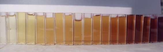 ORGANIZAÇÃO DE CONCURSOS DE MEL As análises sensoriais são essenciais em concursos de mel, sendo os melhores méis escolhidos pelo conjunto de júris.