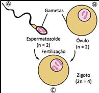 Para sua própria proteção e dos demais ocupantes do veículo utilize sempre os cintos de segurança quando o veículo estiver em movimento.