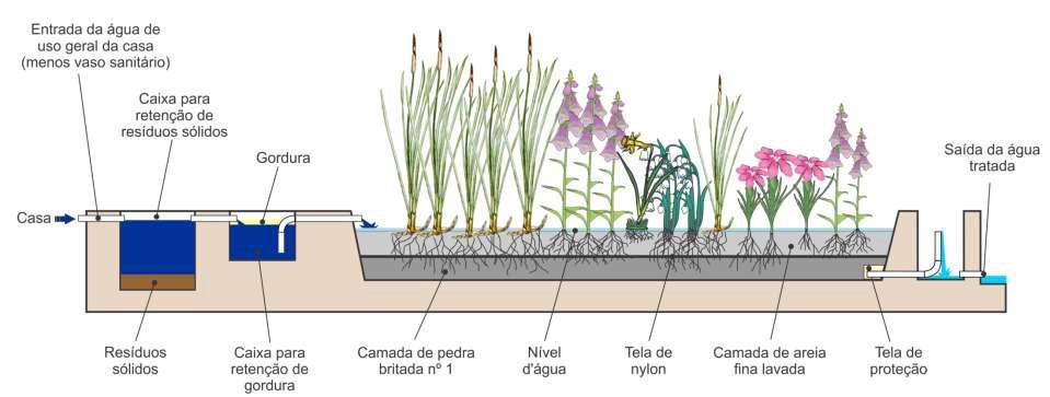 Já a tecnologia do Jardim Filtrante tem a função de complementar o tratamento da Fossa Séptica Biodigestora. A FSB, por suas características trata apenas a água negra, efluente do vaso sanitário.