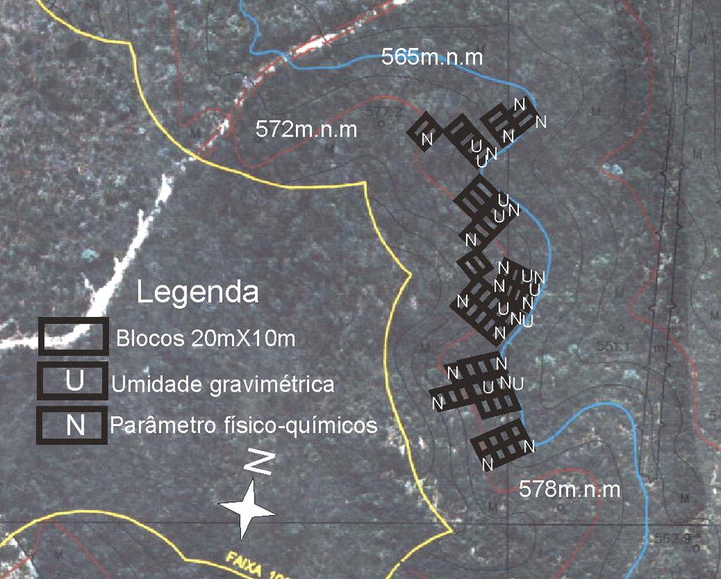 (pontos brancos) no interior da floresta estacional decidual (Fig.
