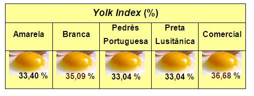 Características físicas dos ovos de galinhas de raças autóctones Yolk índex - Firmeza da gema Yolk index (%) Classificação > 50 Extra fresco 30-50 Frescos < 30 Regular Resultados: