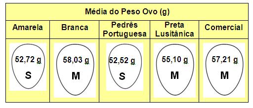 Características físicas dos ovos de galinhas de raças autóctones Inês Carolino, Joana Cid, Madalena