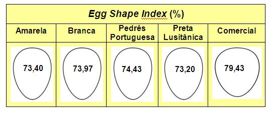 Famalicão Viana do Castelo Vila Verde Vila Verde Vila Verde Características físicas dos ovos de