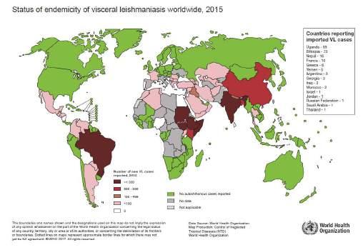 Leishmaniose Visceral no mundo Seis países 85%: Índia, Brasil, Sudão do Sul, Sudão e Etiópia.