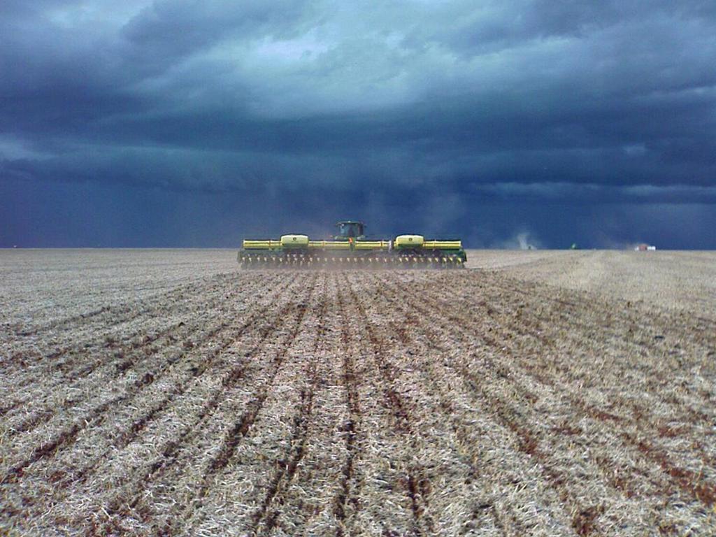 Nutriente N Expectativa de Produtividade (sc/ha) 80 100 kg/ha de N Extração Exportação Extração Exportação 120,0 76,0 149,0 95,0