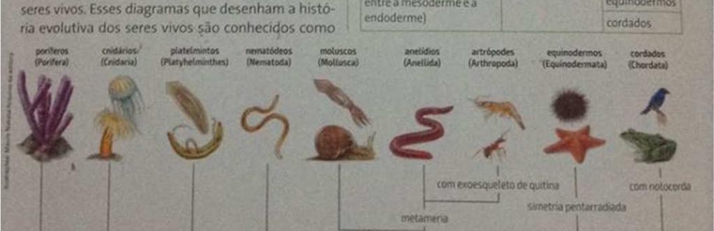 biologia molecular) e que fizeram desacreditar