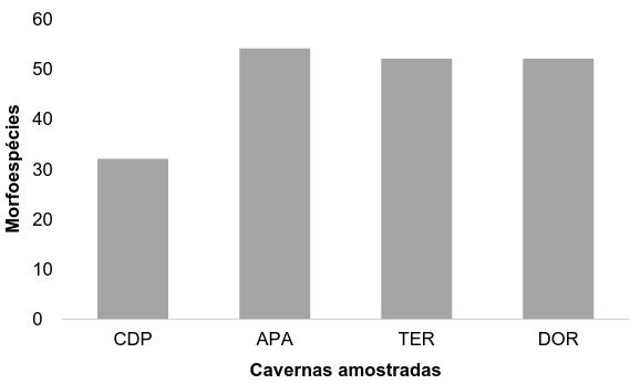 similaridade das comunidades entre as cavernas e o índice de Berger-Parker foi utilizado para calcular a dominância das espécies nas comunidades (MAGURRAN, 2004).