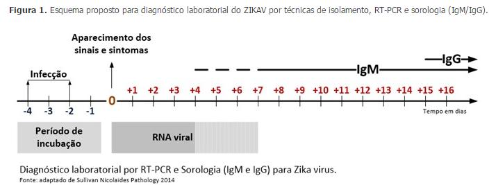 Infecção vírus