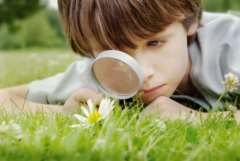 Eixo: Educação pela Inovação Educação no Património Natural e Cultural da Lezíria do Tejo: Dias de aulas na Natureza e Educação pela Arte Promover capacidades cognitivas, motoras e sociais Promover