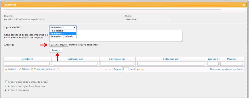 Digite as considerações sobre o desempenho e clique no botão Escolher arquivo para inserir o arquivo do relatório.