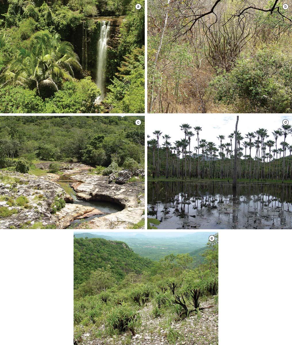 Biota Neotrop., vol. 10, no. 3 229 Amphibians and reptiles from a highly diverse area of the Caatinga domain Figure 2. Environments composing the CPI.