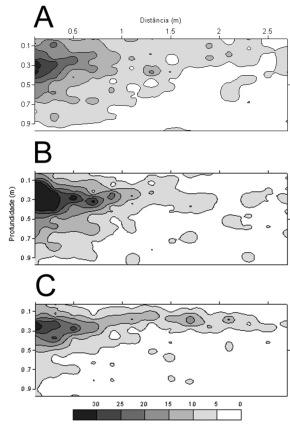 22 Atributos Físicos e Hídricos de Solos Cultivados com Coqueiro Anão Verde Irrigado no Platô de Neópolis: Resultados Fig. 11.