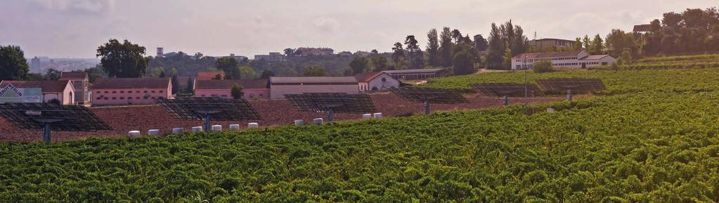 Agro-Pecuária Tecnologia Alimentar Tecnologia e Gestão Ambiental 1.